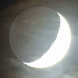 Meet your Posher, Curtis